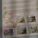 Cookie Cutters Pack Of 2