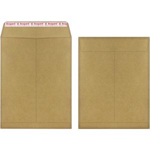 120 PCS 9x12 inches Security Catalog Envelopes Printable Self Seal Envelopes, Anti Tear Recycled Kraft Envelopes for Invitation Cards, Pictures, Photos, Documents