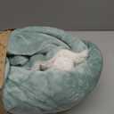 Bedsure GentleSoft Sherpa Fleece Twin Size Blanket for Couch, Non-Heated, Thick and Warm Throw for Women and Men, Soft Fuzzy Plush Twin Blanket for Winter, Sage Green, 60x80 Inches