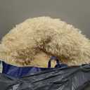 Cat Beds for Indoor Cats, 20 Inch Dog Bed for Small Melium Large Dogs, Washable-Round Pet Bed for Puppy and Kitten with Slip-Resistant Bottom