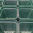 RooTrimmer 2.8 inch (7CM) Square Nursery Pots 120pcs (Green) and 24 Cell Nursery Pots Trays 5 Pack, Plastic Seedling Starter Tray with Drain Holes for Carrying and Holding Plant Pot(17"x11"x1.6")