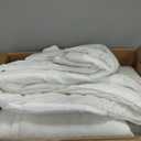 Sunshine Nicole Distressed Velvet Comforter Set, Distressed Velvet Face and Brushed Solid Microfiber Reverse, with Light Weight Soft Poly Fill, 5 Pieces Light Ivory, King