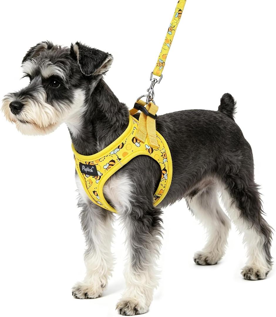PUPTECK Dog Harness and Leash Set for Small Dogs No Pull Step-in Soft Mesh Puppy Cat Vest Harnesses Reflective at Night, Yellow Bee, S