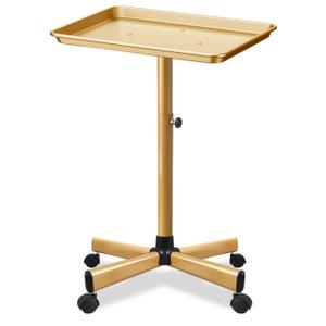Retain Time Premium Aluminum Salon Tray, Sturdy Corrosion-Resistant Adjustable Tray is Used for Salon Tray on Wheels, Salon Tool/Color Tray, Beauty Spa Tray, Dentist Tray, Etc.…(Gold)