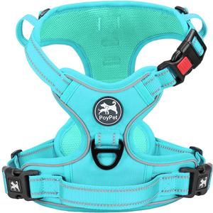 PoyPet No Pull Dog Harness, No Choke Reflective Dog Vest, Adjustable Pet Harnesses with Easy Control Padded Handle for Dogs (Mint Blue Matching Trim, XS)
