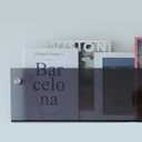 ROYALITA 2-Pack Acrylic Magazine Holder Brochure Holder, 24" Record Holder Magazine Rack, Fashion Hanging Bookshelf Literature Storage Rack for Waiting Room, Living Room, Office, Gray, 24 Inch (Grey)