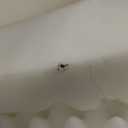 Furhaven Orthopedic Dog Bed for Large Dogs w/ Removable Bolsters & Washable Cover, For Dogs Up to 95 lbs - Plush & Suede Sofa - Deep Pool, Jumbo/XL