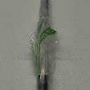 Hunter Fan Company, 26302, 12 inch Original Black Downrod (1 Piece, Black)