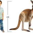 Kangaroo - Life Size Cardboard Cutout Standup People with Support Standee | Animals -