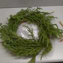 Somikis 24 Inch Christmas Wreaths for Front Door Real Touch Norfolk Pine Wreath for Winter Indoor&Outdoor Porch Windows Wall Home Decor, Realistic Wreath for All Seasons