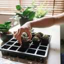 KINGLAKE GARDEN Small Black Plastic Pots,50 Packs 2 Inch Small Plant Pots with Drainage Holes,Mini Nursery Plastic Plant Planters for Succulents,Indoor Outdoor Plant