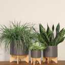 Ceramic Planter With Stand Indoor Plant Stand Elevated Plant Stand For Displaying Greenery, Living Room, Bedroom, Office, Or Patio, Minimalist Garden Accent For Home Decor 7", Gray