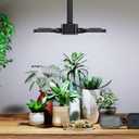 SANSI LED Grow Lights for Indoor Plants, Full Spectrum High PPF Plant Grow Light, 60W Indoor Plant Lights for 2x3ft Growing, Seed Starting, Blooming and Fruiting, E26 Base (Not Include Power Cord) (60.00 Watts, Black)