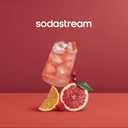 SodaStream Pink Grapefruit Zero Calorie, 14.8 Fl Oz (Pack of 4) (EXP 12/27/26)