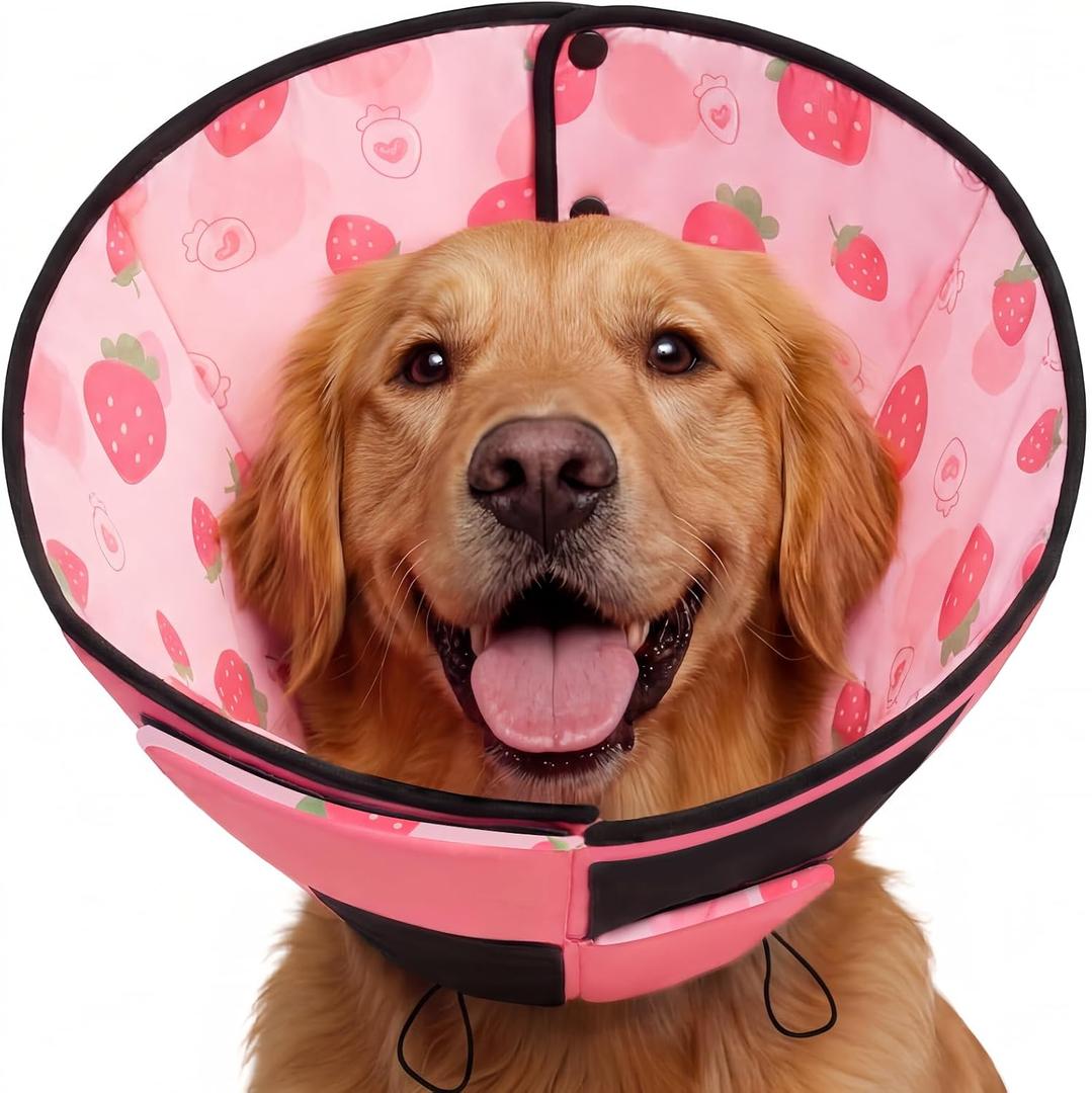 Queenmore XL Dog Cone, Soft Dog Cones for Large Dogs After Surgery, Cone for Dogs to Stop Licking, Pet Elizabethan Collar, Alternative to Recovery Collar for Pets, Strawberry XL
