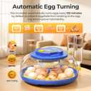 18 Egg Incubators for Hatching Eggs, 360 View with Automatic Egg Turning & Humidity Control, Built-in Egg Candler for Hatching Chicken, Duck, Goose, Quail, Ideal for Home, Classroom, Laboratory, Farm