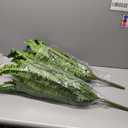 Home and Garden Parts 2 Pcs Artificial Greenery Plants 7 Bundles with Persian Leaf Green #CN/251024/03266