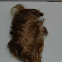 Baruisi Mens Wigs Short Light Brown Wig Synthetic Heat Resistant Natural Halloween Cosplay Hair for Male