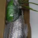 Der Rose 28'' Fake Plants Tall Artificial Monstera Faux Plants Indoor for Living Room Home House Decor