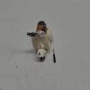 1 Pcs Doll Scooter Doll Vehicles Mini Electric Scooter Toy with Music & Lights Could Rotate 360 Dolls Accessories Cute Scooters Toy Ornaments Battery Not Included (Cream)