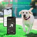 WhoseID Airtag Dog Collar, with Waterproof airtag HolderOriginal Stylish Cute Pattern Design.QR Code ID Buckle Comfortable Soft Cotton for Large Dogs