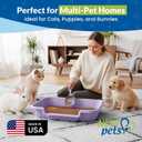 KittyGoHere Senior Cat Litter Box, Large Litter pan, Open Top Low Entrance Kitty Litter Box, Lightweight Low Entry Litters Box, Durable, Made in USA (Storybook Lavender)