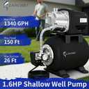 LANCHEZ Shallow Well Pump, Stainless Steel Water Transfer Pump, 115V Garden Irrigation Pump, Water Booster Jet Pump for Home Garden Lawn Farm, Matte black