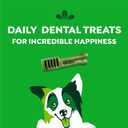 Greenies Original Regular Dental Dog Treats, 36 oz. Pack (36 Treats) (EXP 10/13/26)