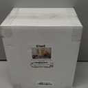 Ciaell 12 Pack Plastic Champagne Flutes - 6 Oz Clear Disposable Champagne Glasses - Square Plastic Toasting Glasses for Party Anniversary Wedding