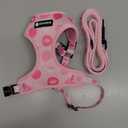 Dog Harness and Leash Set, Adjustable Dog Harness, Dog Leash, No Pull No Choke Puppy Harnesses for Walking Training for Small Medium Pet (Strawberries, S(Chest 13-19", Neck 9.5-13.1"))