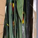 Crowye 2 Pcs 5 ft Artificial Bird of Paradise Plant Faux Banana Leaf Tree Tall Lifelike Fake Palm Tree Potted Plant with 3 Tropical Flowers & 20 Trunks for Indoor Outdoor Home Office Living Room Decor