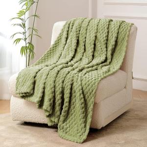 FY FIBER HOUSE Fleece Throw Blanket for Couch 300GSM Super Soft Plush Fuzzy Blankets Lap Blanket for Office Sofa, 50x60 Inches, Sage Green