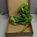 10 Pcs Faux Latex Hydrangea Flower 2 Stems 26.4 '' Fake Hydrangea Flowers Real Touch Long Stem Artificial for Vase Bedroom Decoration Indoor Outdoor Wedding(Green)