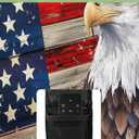 DecorLovee American Flag Outdoor TV Cover 48 to 50 Inches Weatherproof & Waterproof, Vintage Blue Red USA Flag Outdoor TV Enclosure with Remote Control Pocket, Eagle TV Screen Protectors for TV