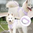 No Pull Dog Harness, Puppy Vest with Front Clip for Small Medium Large Sized Dog(Light Purple,XL)