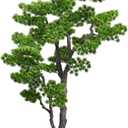 5.5FT Artificial Bonsai Tree Large Faux Plants Indoor Tall Realistic Fake Plants with Ceramic Pot and Moss for Home Decor Living Room Corner Entryway - Silk Green Leaves Low Maintenance