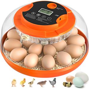 18 Egg Incubator with Automatic Egg Turning and Humidity Control, Incubators for Hatching Eggs, Chicken, Ducks, Goose, Pigeon, Quail, Parrot Incubator for Farm, Lab, Science Classroom, Home (Orange)