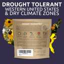 Drought Tolerant Wildflowers Mix  Extra Large Packet  Over 7,500 Open Pollinated Non-GMO Seeds  21 Different Dryland Species (1 Ounce Pouch)