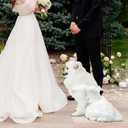 TONY HOBY Dog Party Dress, Dog Sundress with Sparkling White Petals, Pet Dress Clothes for Small Dogs (White, XL)