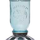 Perky-Pet Mason Jar Wild Bird Feeder