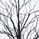 Nearly Natural 5ft Pre-Lit Black Twig Halloween Tree with 240 LED Lights