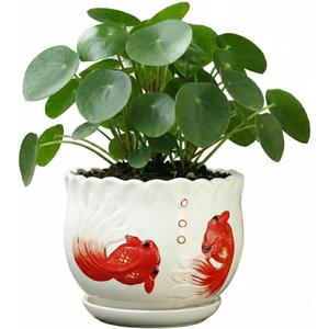 Ceramic Planter with Saucer - 3D Embossed Goldfish Design, Scalloped Edge Decorative Flower Pot for Indoor Outdoor Succulent Cactus, White Porcelain Plant Container with Drainage Hole