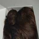 FESHFEN Long Brown Wigs for Women 22 inch Brown Long Wavy Full Wig Middle Parting Wigs Natural Looking Synthetic Wig for Daily Party