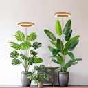 yadoker Plant Grow Light, LED Growing Light Full Spectrum for Indoor Plants,Aluminum Wood Grain Plant Lights,Height Adjustable, Automatic Timer, 5V Low Safe Voltage,Idea for Large Plant Light (1 Pack)