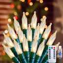 Minetom LED Christmas Lights - 39 Feet 100 LED Mini String Lights with Remote, USB Operated Christmas Tree Lights for Indoor Garland Wreath Home Garden Holiday Party DecorAdapter not Included (Warm White)