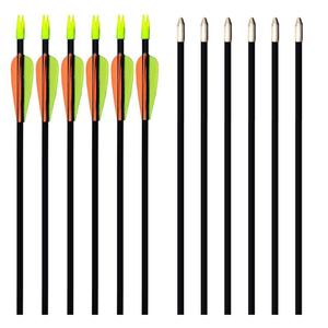 GPP 28-inches Fiberglass Archery Target Arrows - Practice Arrow or Youth Arrow for Recurve Bow