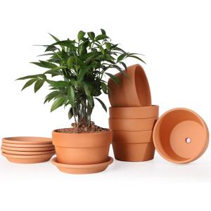 INGOFIN 5 Inch Terracotta Shallow Pots Set with Saucer - Ceramic Clay Pots with Drainage Hole, Terra Cotta for Plants for Indoor Outdoor Plants, Set of 6