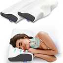 Derila Memory Foam Pillows (2 Pillows, Standard (19.7" x 11.8" x 3.9"))
