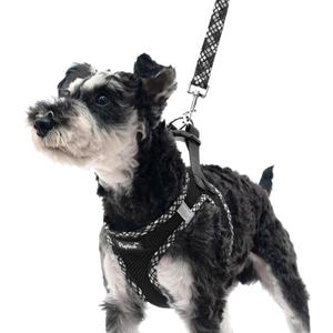 PUPTECK Dog Harness and Leash Set for Small Medium Dogs No Pull Step-in Soft Mesh Puppy Cat Vest Harnesses Reflective at Night, Black M (M(CHEST 16"-18", 11-18 lbs))