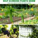 6.6x32.8FT Trellis Netting for Climbing Plants,Trellis Netting with Plant Clips, Heavy-Duty PE Trellis Net for Cucumber, Tomato, Vegetables, Fruits, Sweet Pea Plants